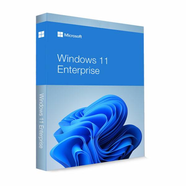 Windows 11 Enterprise 64bit