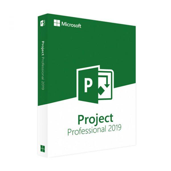 Microsoft Project Professional 2019 32/64-bit [for Windows]