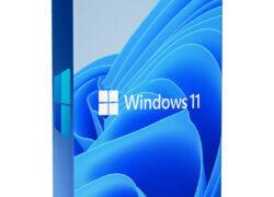 Windows 11 Home 64bit (W11HOME)