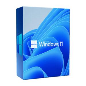Windows 11 Pro 64bit (W11PRO)