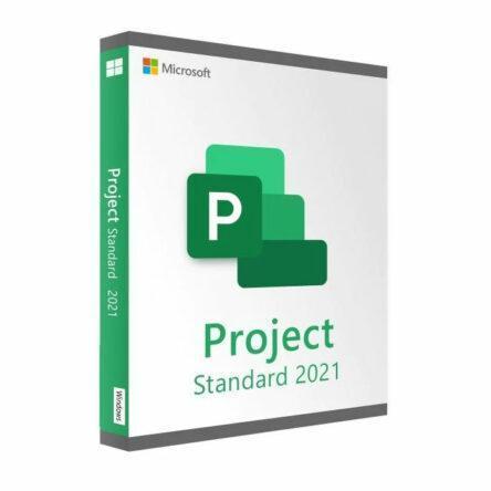 Microsoft Project Standard 2021 (Windows)